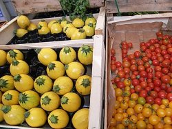 画像3: ズッキーニ・FLORIDOR F1【F1種】