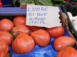 画像3: イタリアントマト・Cuor di bue【固定種/支柱・必要】