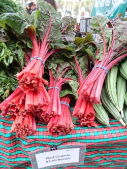 画像5: スイスチャード・RHUBARB CHARD【固定種】