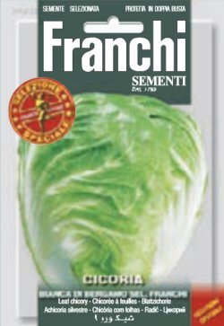 画像1: チコリー・BIANCA DI BERGAMO SEL. FRANCHI【固定種】