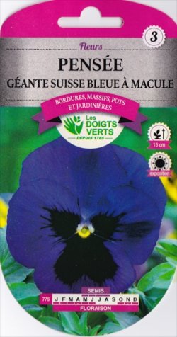 画像1: 花・パンジー　Swiss Giant Blue With Black Eye