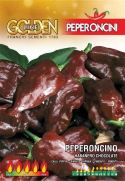 画像1: ホットペッパー・ハバネロ-チョコレート PEPERONCINO-HABANERO CHOCOLATE【固定種】