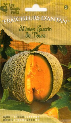 画像1: フレンチメロン・Melon Sucrin de Tours【固定種】