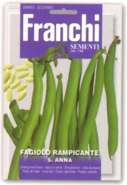 画像1: FRANCHI社-イタリア野菜の種【ツルありインゲン・S.ANNA】