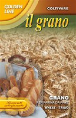 画像1: パン用小麦・GRANO PASTA DA PANE