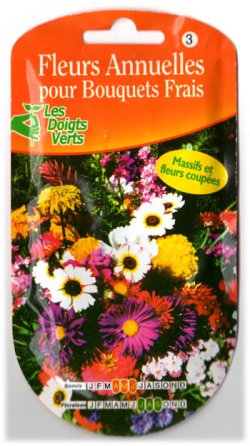 画像1: 花・一年草ブーケ　pour Bouquets Frais
