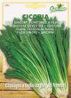 リーフチコリー・Catalogna a foglie larghe（del Veneto）【固定種】
