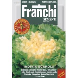 画像: エンダイブ・BIONDA A CUORE PIENO SEL. "FRANCHI"【固定種】