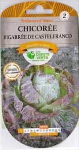 画像: チコリー・sauvage variegata di Castelfranco【固定種】