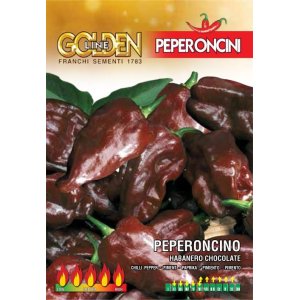 画像: ホットペッパー・ハバネロ-チョコレート PEPERONCINO-HABANERO CHOCOLATE【固定種】