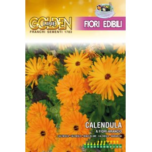 画像: エディブルフラワー・カレンデュラ-CALENDULA a fiori arancio【固定種】