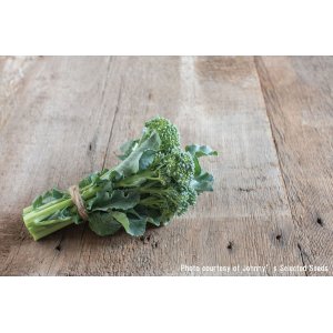 画像: エアルームブロッコリー・De Cicco Organic（オーガニック種子）【固定種】