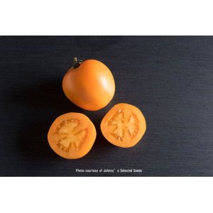 画像: エアルームトマト・VALENCIA(オーガニック種子)【固定種/支柱・必要】