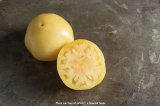 画像: エアルームトマト・GREAT WHITE（オーガニック種子）【固定種/支柱・必要】