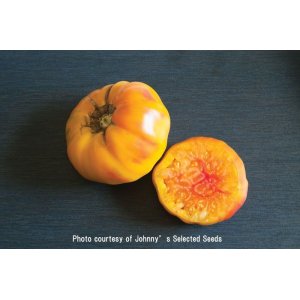 画像: トマト・STRIPED GERMAN(オーガニック種子)【固定種/支柱・必要】
