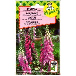 画像: 花・ジギタリスFOXGLOVE