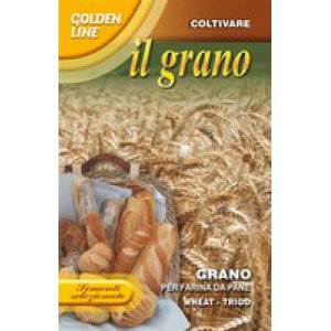 画像: パン用小麦・GRANO PASTA DA PANE