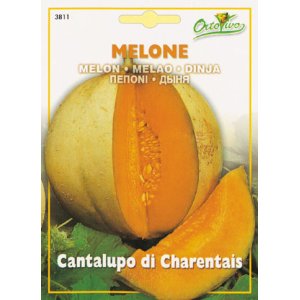 画像: イタリアンメロン・Cantalupo di Charentais【固定種】