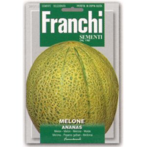 画像: イタリアンメロン・ANANAS【固定種】