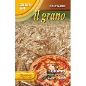 画像: ピザ用小麦・GRANO PER FARINA DA PIZZA