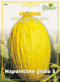 画像: これぞスローフード！？メロンNapoletano giallo 3
