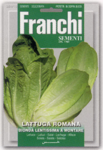 Franchi社 イタリア野菜の種 ロメインレタスbionda I A Montare 4