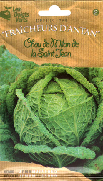 画像1: サボイキャベツ・MILAN De La St Jean