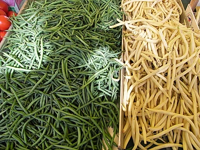 FRANCHI社-イタリア野菜の種【ツルなしインゲン・BRITTLE WAX】