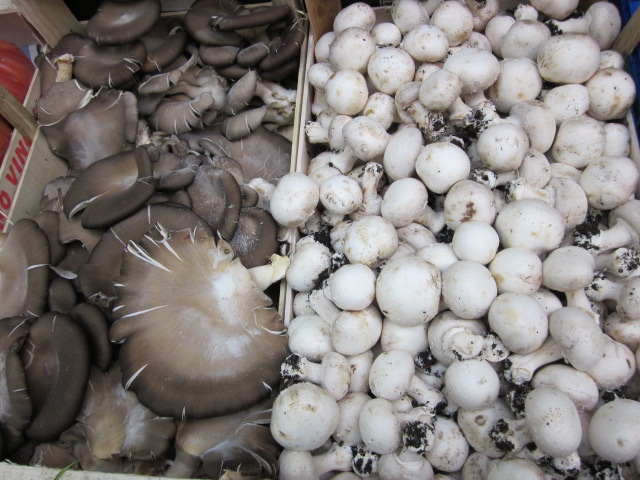 画像2: PRATAIORO　Cultivated Button Mushrooms