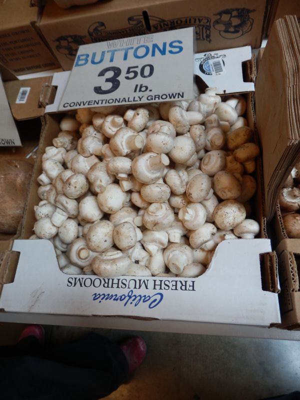 画像3: PRATAIORO　Cultivated Button Mushrooms