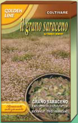 画像1: 蕎麦・サラセノ-GRANO SARACENO
