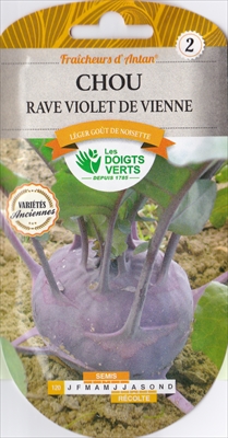 画像1: コールラビ・violet de Vienne【固定種】