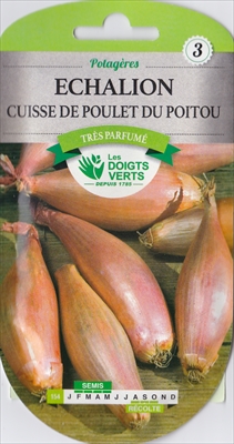 画像1: エシャロット・de Poulet du Poitou【固定種】