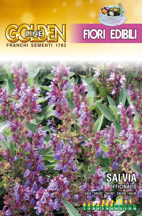 画像1: エディブルフラワー・セージ-SALVIA officinalis【固定種】