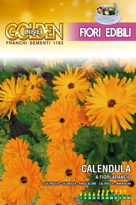 画像1: エディブルフラワー・カレンデュラ-CALENDULA a fiori arancio【固定種】
