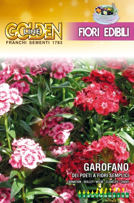 画像1: エディブルフラワー・ダイアンサス-GAROFANO del poeti a fiori semplici【固定種】