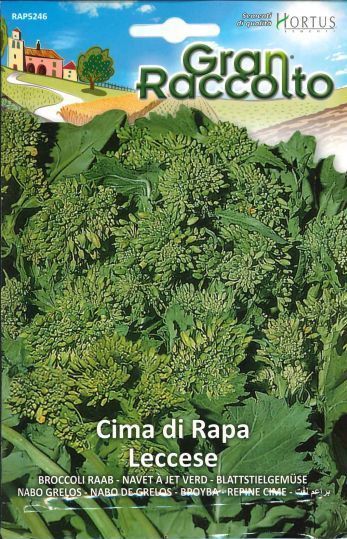画像1: チーマ・ディ・ラーパ・Leccese（大袋）【固定種/90-100日収穫】