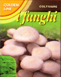 画像1: PRATAIORO　Cultivated Button Mushrooms